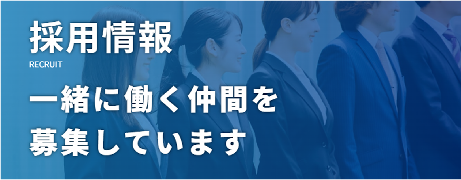 採用情報