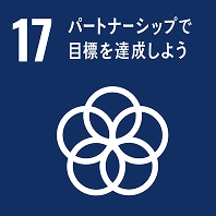 17 パートナーシップで目標を達成しよう