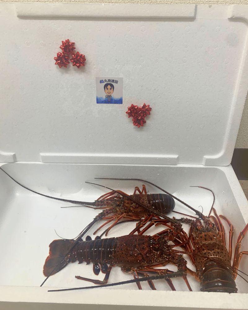 【日南店】ご来場プレゼントのイセエビを無事お届けしてきました！